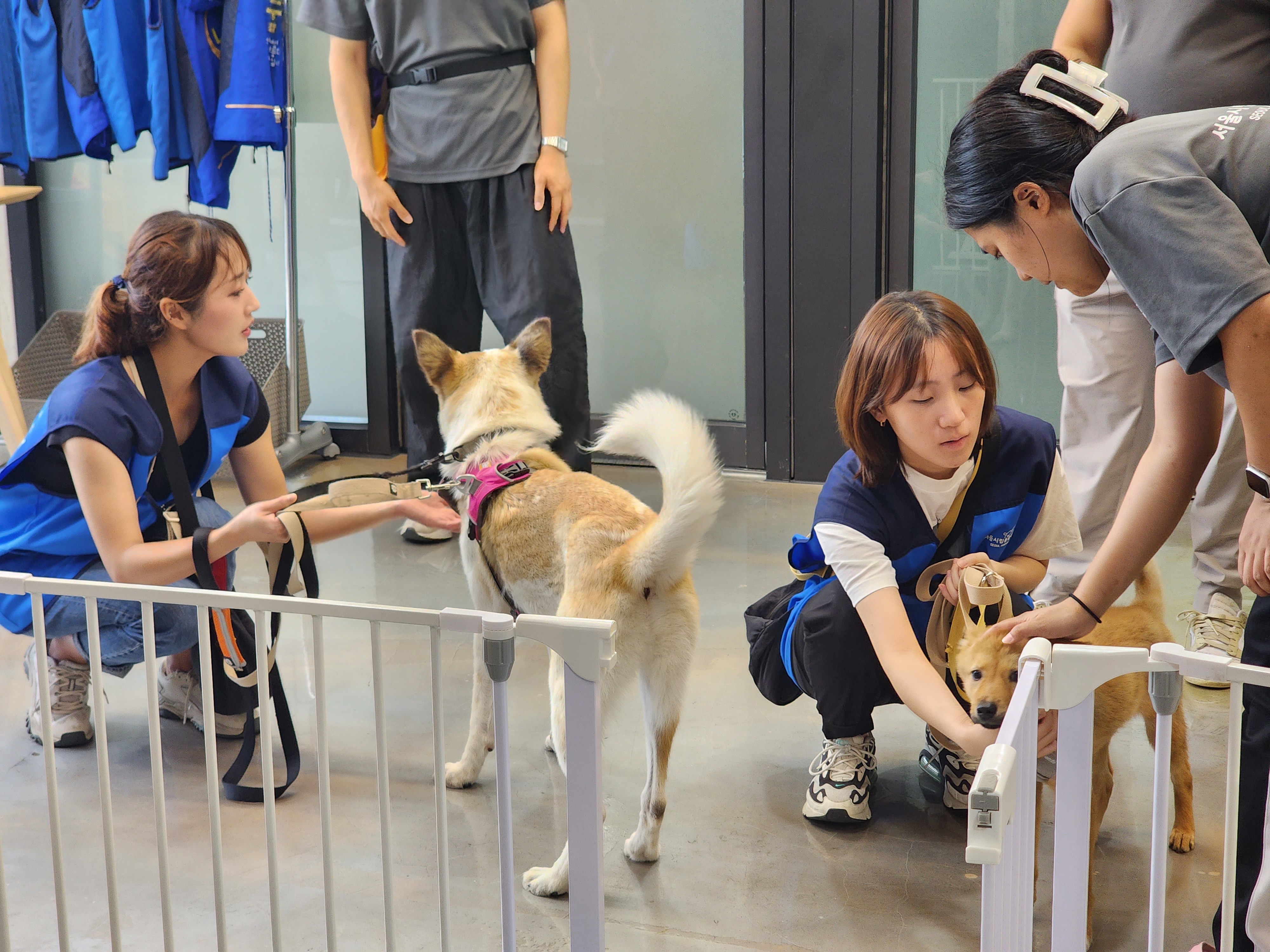'나눔'세상에서 가장 아름다운 투자입니다.